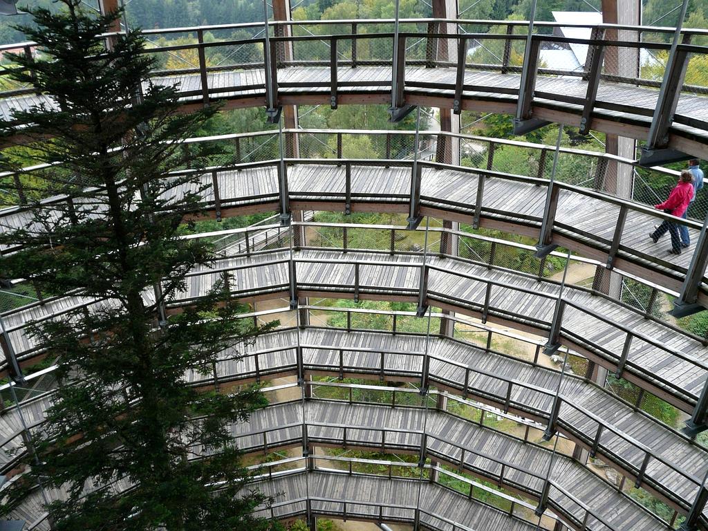 Advanced AI dashboard showing personalized development metrics and neural network visualization