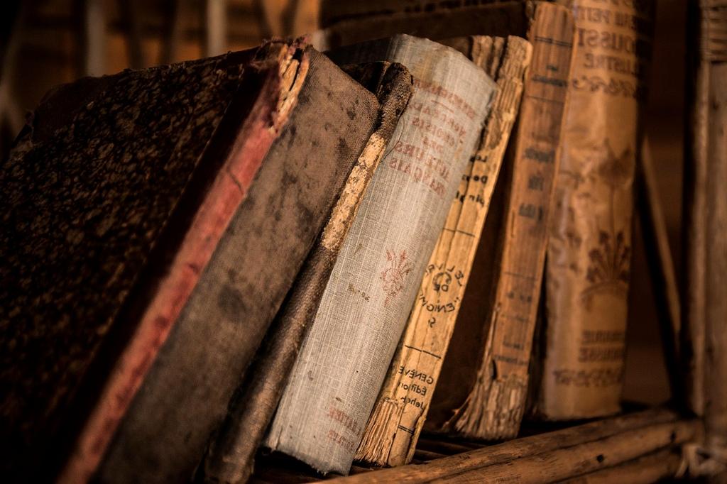 Open book with glowing ideas symbolizing knowledge and personal growth