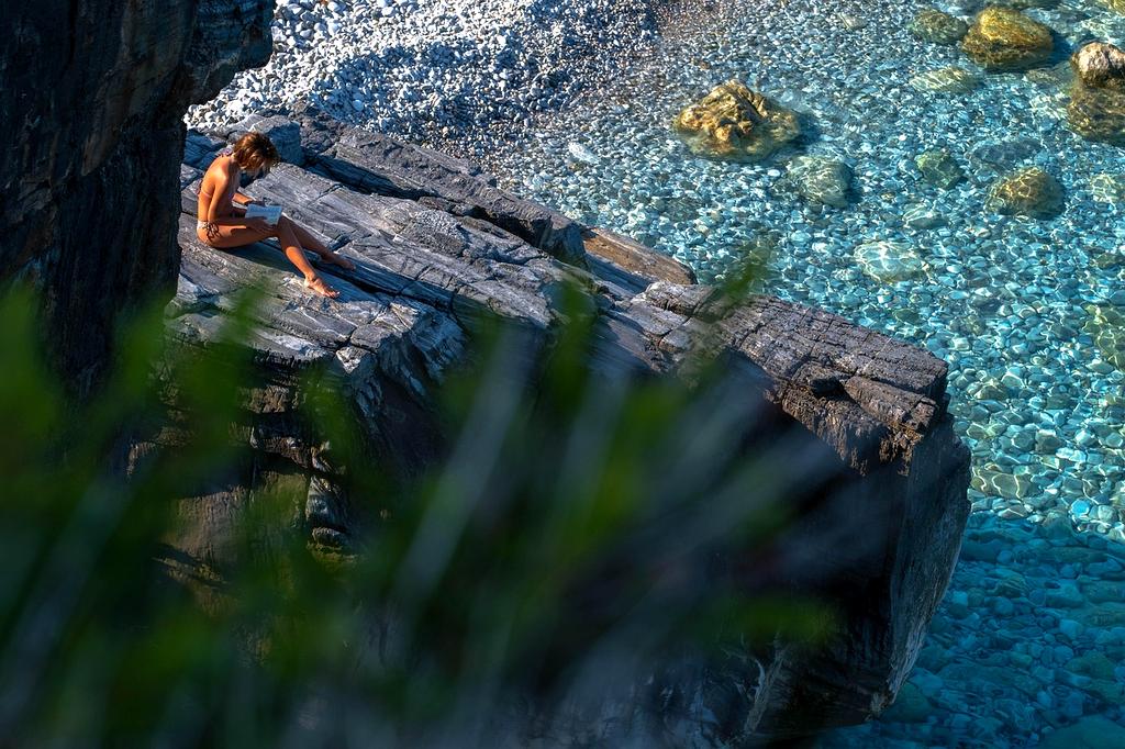 Advanced brain imaging showing neuroplasticity changes during learning sessions