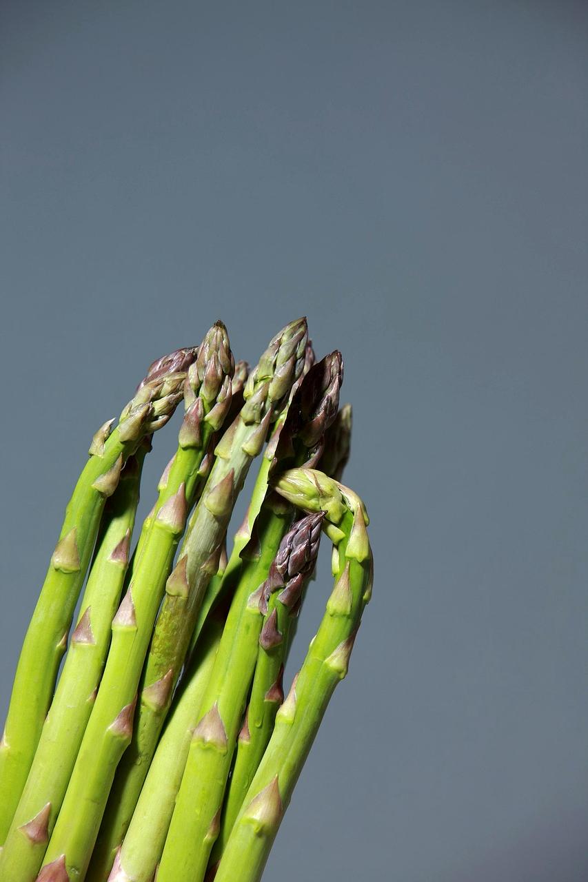 Course cover showing healthy habit development illustration