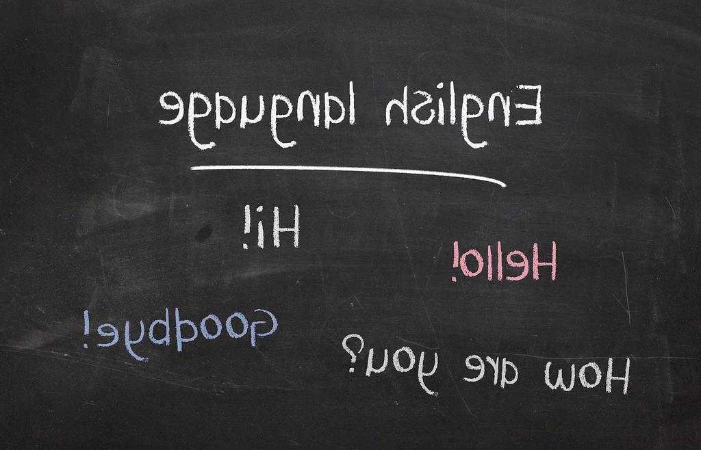 Collage of diverse courses illustrating personal development and healthy lifestyle themes