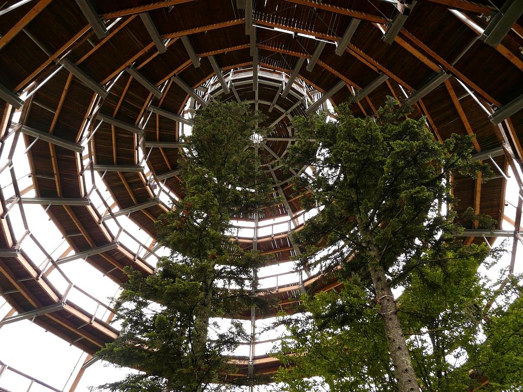 3D molecular visualization of dopamine and serotonin neurotransmitter interactions